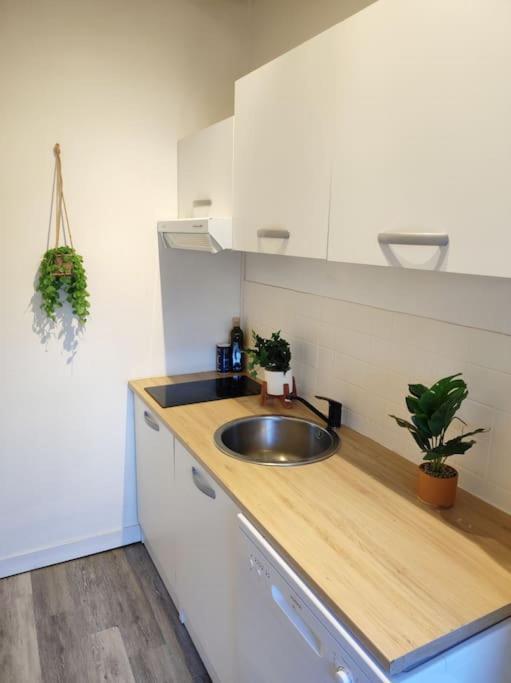 Paisible Duplex Au Centre-ville Apartment *