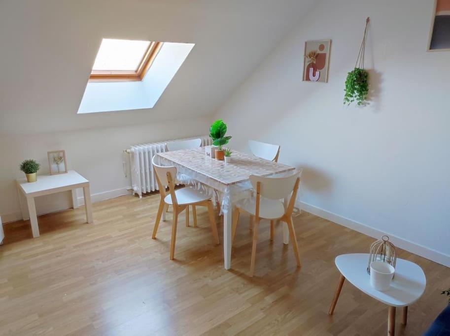 Paisible Duplex Au Centre-ville Le Mans